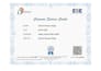 do gst it finance insurance and online work